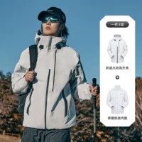 Теневой пепел