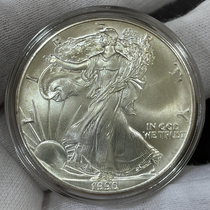 1990 American Walking Goddess Silver Coins American Eagle Silver Coins American Liberty Silver 1 oz 452