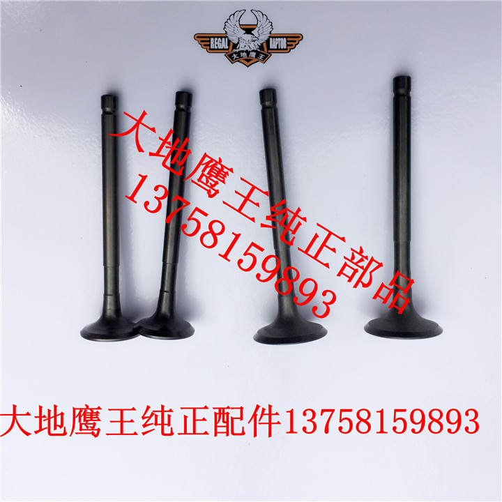 Original Earth Eagle King DD250E-9A 350G 350E-6C 250G-2N intake valve exhaust valve