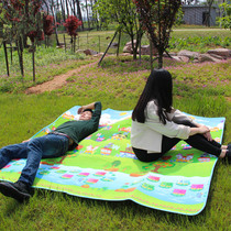 Shengyuan Picnic Mat Outdoor Tent Anti-Damp Cushion Thickened Cartoon Children Crawl Mat Beach Ground Mat Wild Cooking Meadow Mat