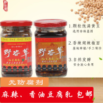 Guizhou Zunyi specialty wild grain grass red bean curd bean curd moldy tofu spicy Sichuan spicy sesame oil flavor 200g