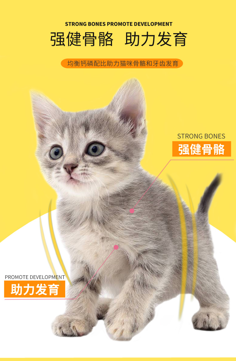 Thức ăn cho mèo thức ăn cho mèo nhỏ Thức ăn cho cá biển sâu trong nhà Mèo đi lạc mèo cai sữa giai đoạn 1-4 tháng 1,5kg3 kg - Cat Staples thức ăn cho mèo gần đây