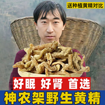 Shennongjia Wild Polygonatum Dried Goods 500 Chinese Medicinal Materials Can Be Brewed into Wine and Tea for Health Care Non-Jiuhuashan Nine-Steamed and Nine-Sunned Yellow