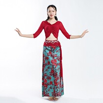 Classical Oriental national belly dance womens new suit mesh practice suit Performance dress long dress dance costume