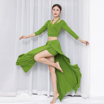 2021 new belly dance practice suit dance modal suit female sense beginner thin skirt mid-sleeve