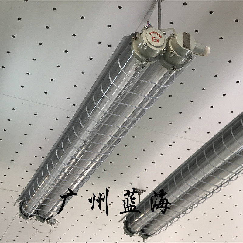 Explosion-proof stent lamp daylight single double daylight lamp electronic
