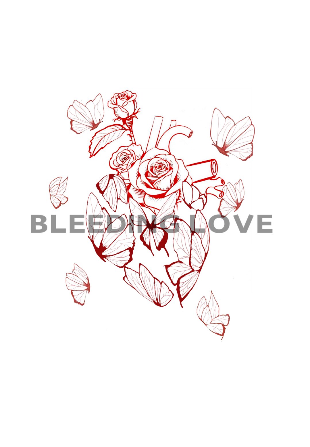 二尖瓣迷雾BleedingLove