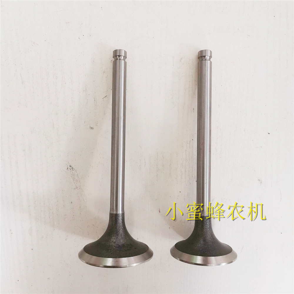 Changchai Changfa single cylinder diesel engine valve valve assembly original accessories Agricultural machinery accessories