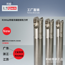 Lijun 2019 new hardened R390 fine milling tool holder R390 11T308M PL 530 die blank fine milling tool holder