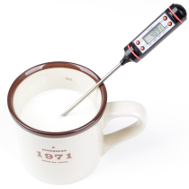 American high-precision thermometer home electronic thermometer baking food 304 stainless steel lengthened probe suction card