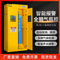  Gas cylinder cabinet Safety cabinet Laboratory all-steel explosion-proof double-bottle gas cylinder cabinet Gas tank oxygen acetylene cylinder storage cabinet