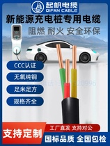 Qifan Tesla BYD 7KW new energy vehicle charging pile cable YJV3 5 core*6 10 square meters