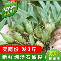 Stone olives fresh double leaf stone Xiantao stew soup ingredients small Guangdong Chaoshan pot soup 500g