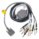 Сердце Баксианская линия Сердце Сердце Синбайкс, двенадцать линий сосать ситуацию груди груди