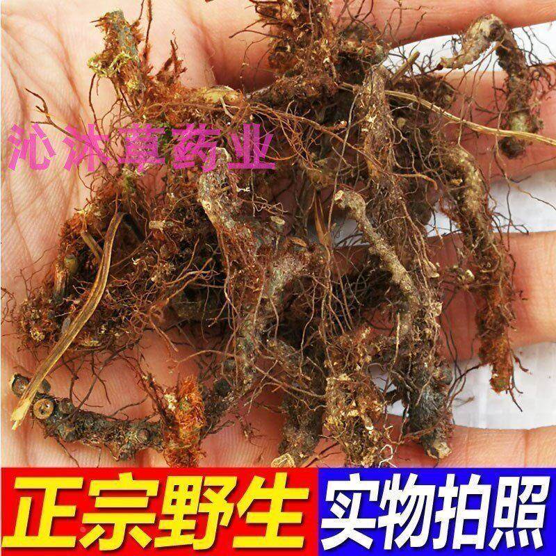 Authentic Golden Star Grass Root Traditional Chinese Medicine Duck and Goose Feet Golden Star Grass New Product Golden Star Grass Root Golden Chicken Foot Root Golden Star Grass Root