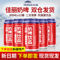 Xinjiang Tianrunjiali milk beer 300ml*12 cans fermented lactic acid non-alcoholic milk drink Non-milk non-beer