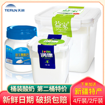(New Date) Xinjiang Tianrun Yogurt Original Bucket Yijia Runkang Full-fat Fermented Milk Fruit Fishing