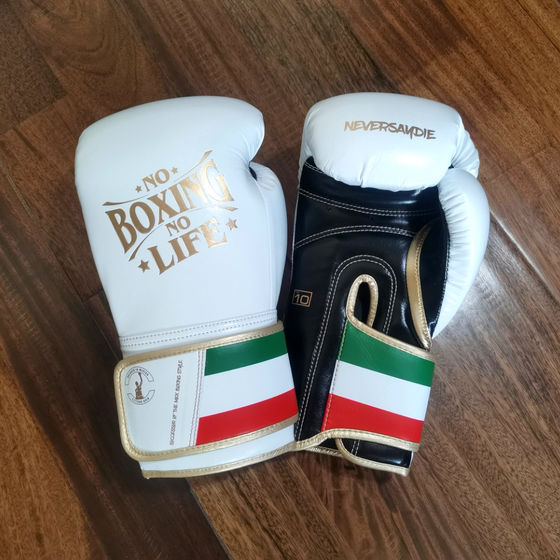 Noboxingnolife Brand Men's and Women's Professional Boxing Gloves for Adults, Muay Thai Fighting and Punching Bag Gloves
