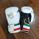 Noboxingnolife Brand Men's and Women's Professional Boxing Gloves for Adults, Muay Thai Fighting and Punching Bag Gloves