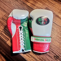 Spot Mexican National Flag, основной цвет флага национального флага отправлены людям