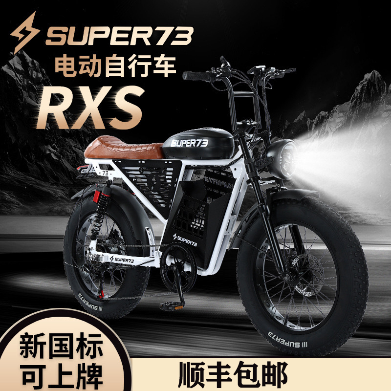 Off-Road Electric Bicycle, Small Retro Style, New National Standard, Foldable for Mountain and Snow Terrain, Can Be Registered, 1000W Power Assist Electric Bike