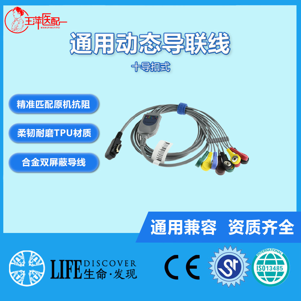 兼容迪姆DMS 心电导联线 Holter动态心电导联线 10导扣式