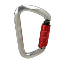 Main lock safety D-type equipment rock climbing lock carabiner professional automatic lock outdoor direct sales