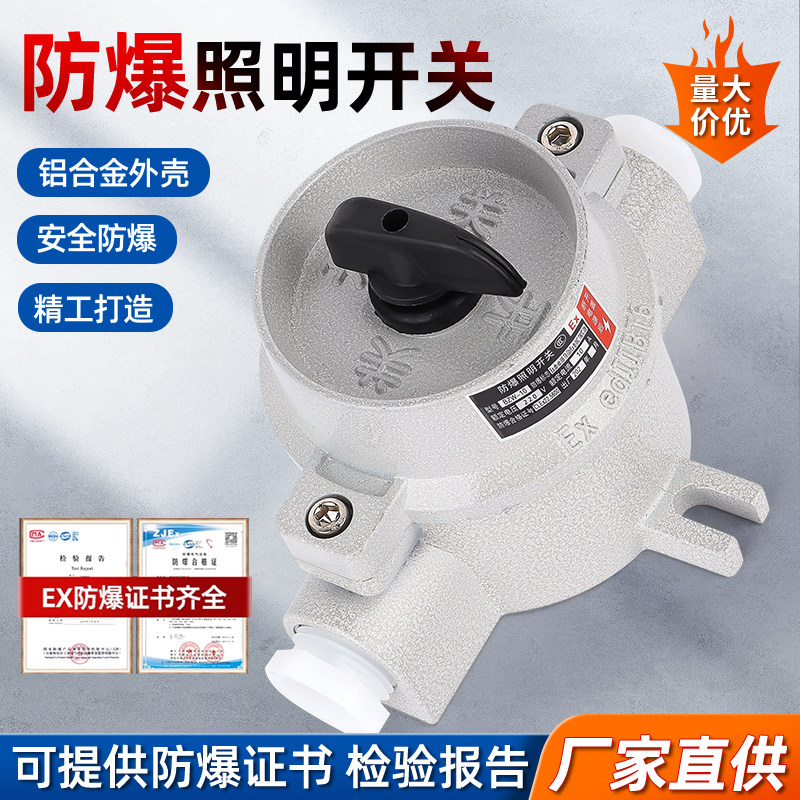 防爆照明开关220V加厚铝合金防水防尘SW-10转换开关