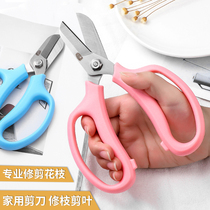 Heyi household horticultural scissors twigs wide heads flowers flowers flowers flowers flowers flowers branches pruning tools pruning tools