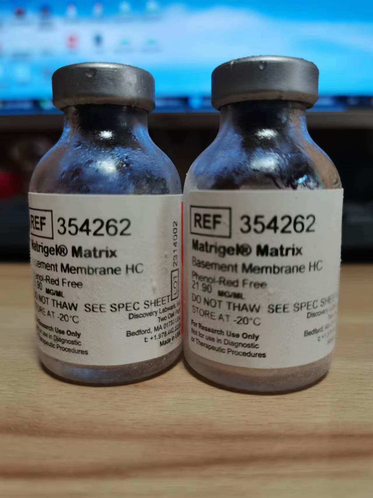 含票BD 康宁Corning 354262 Matrigel 基质胶 高浓度 无酚红 10ml