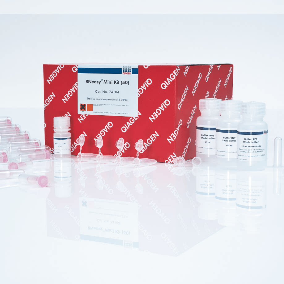 含票凯杰QIAGEN 74104 4RNeasy Mini Kit(50)总RNA小提试剂盒50T