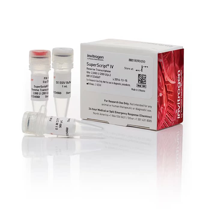 Invitrogen SuperScript II III IV 反转录酶 50t 10000units