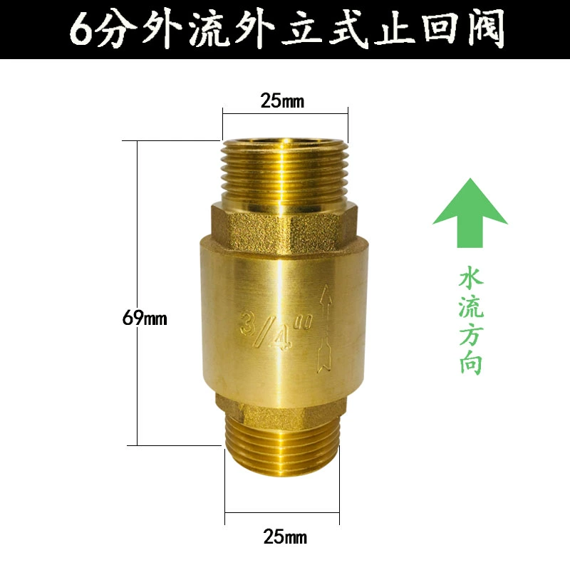 lắp van 1 chiều cho máy bơm tăng áp Tất cả van một chiều bằng đồng van một chiều van chặn nước van một chiều lò xo máy bơm nước với van hồi lưu nước máy tự động 6 điểm van thoát nước 1 chiều van thoát nước 1 chiều Van 1 chiều