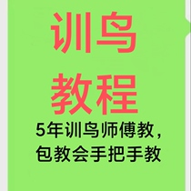 Parrot Training Video Tutorial Learning Bird Training Bird Package Guide Package Society