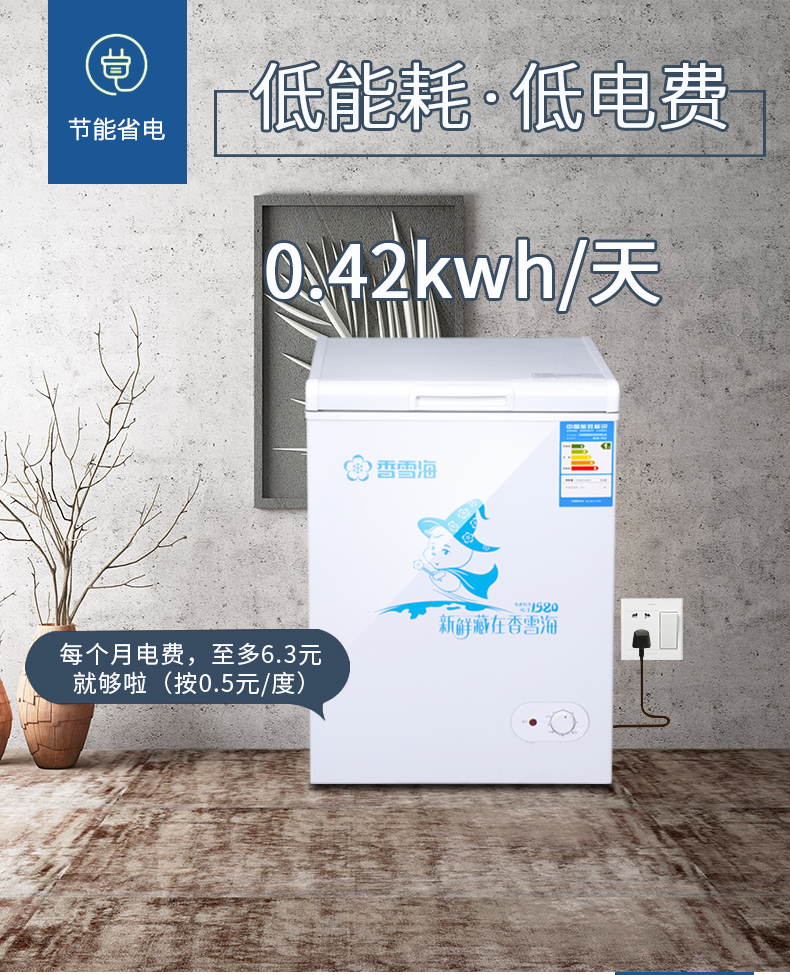 Tủ đông lạnh ngang SNOWSEA / Xiangxuehai BD / BC-106A - Tủ đông tủ đông mát sanaky