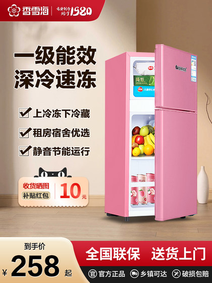 香雪海冰箱小型家用双开门二人出租房用单人宿舍迷你一级能效省电