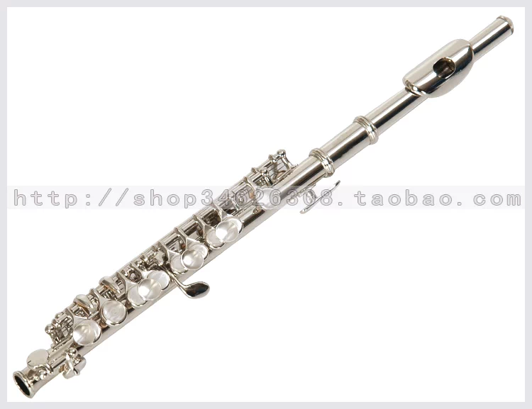 Đồng mạ n piccolo chơi lớp sáo piccolo có thể kiểm tra chất lượng bảo hành piccolo lớp bảo hành - Nhạc cụ phương Tây đàn điện tử