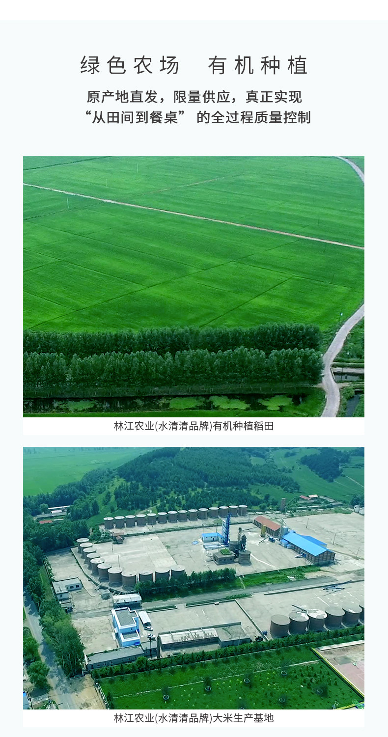 国家女排高级供应商 水清清 有机珍珠米 4斤 图10