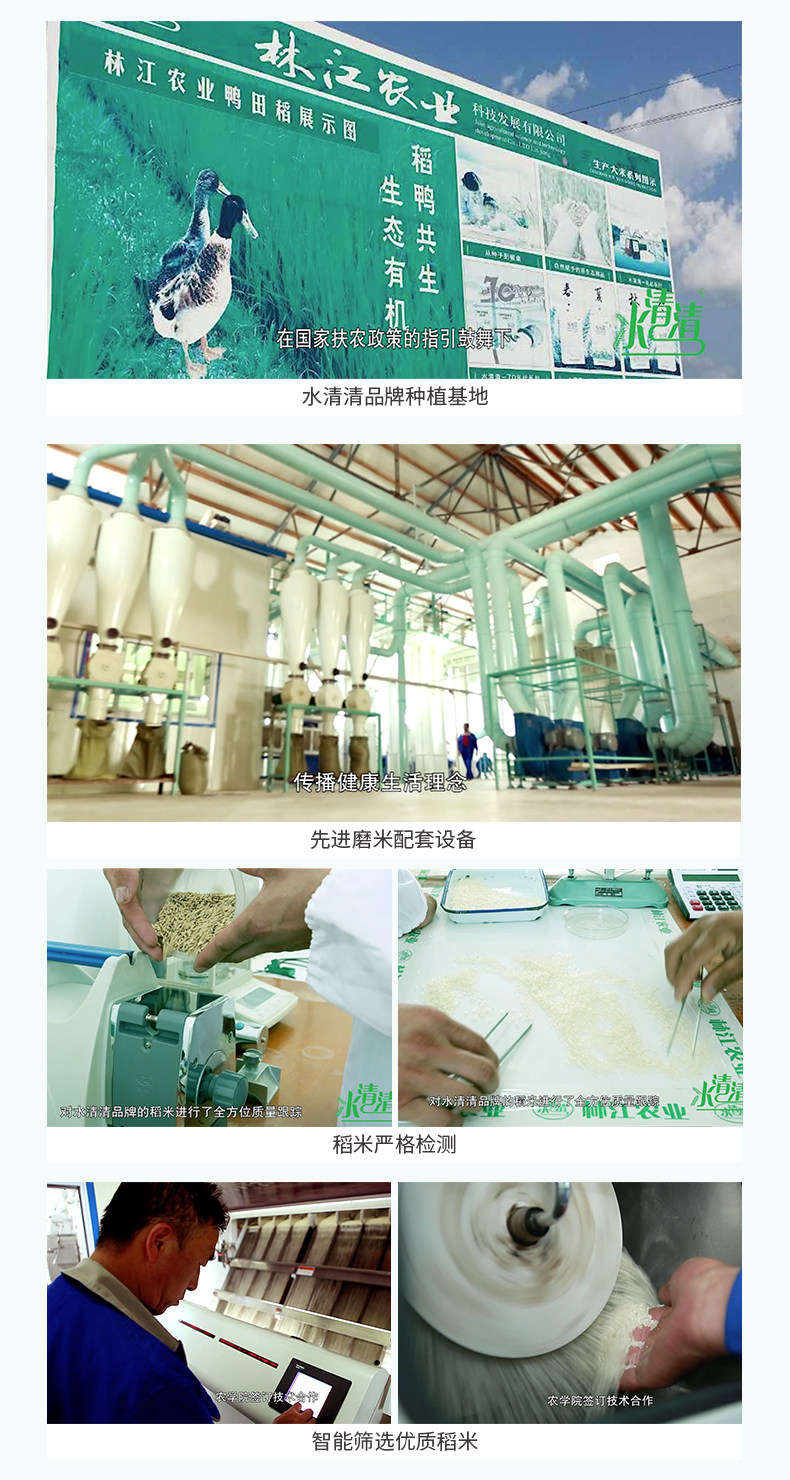 国家女排高级供应商 水清清 有机珍珠米 4斤 图11