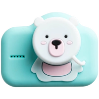 Камера карты Polar Ice Bear (безрезультатное издание)