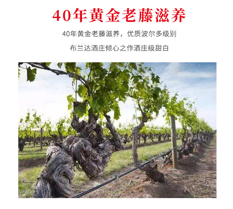 法国原瓶进口 拉蒙 波尔多AOC 布兰达酒庄甜白葡萄酒 750ml*2瓶 图5