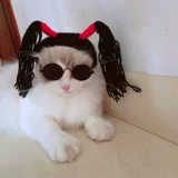 Парик маленькая косяка для головного отверстия декоративная собака плюшевые мишки мишки прекрасная стиля забавная смешная шляпа кошка