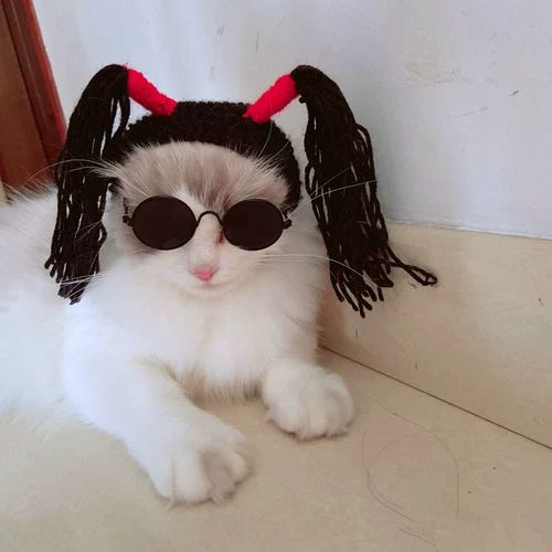 Парик маленькая косяка для головного отверстия декоративная собака плюшевые мишки мишки прекрасная стиля забавная смешная шляпа кошка