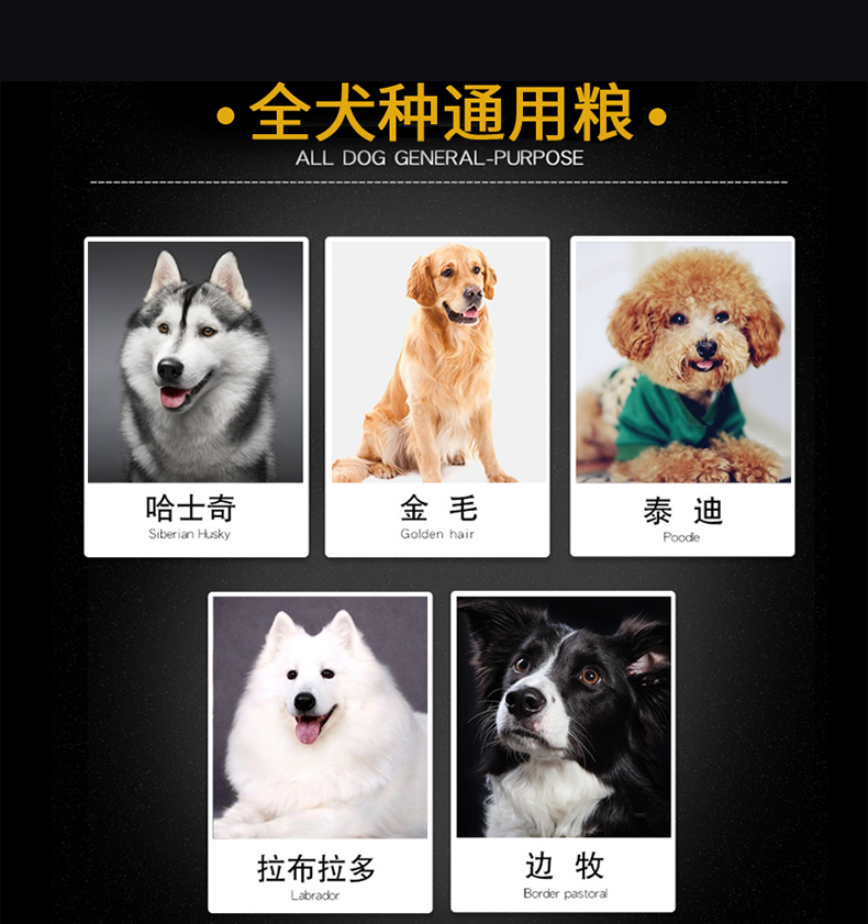 Thức ăn cho chó nói chung loại 40 kg tải lông vàng lông Labrador Samoyed lớn nhỏ chó trưởng thành chó con chó con 20kg - Chó Staples pate cho chó con