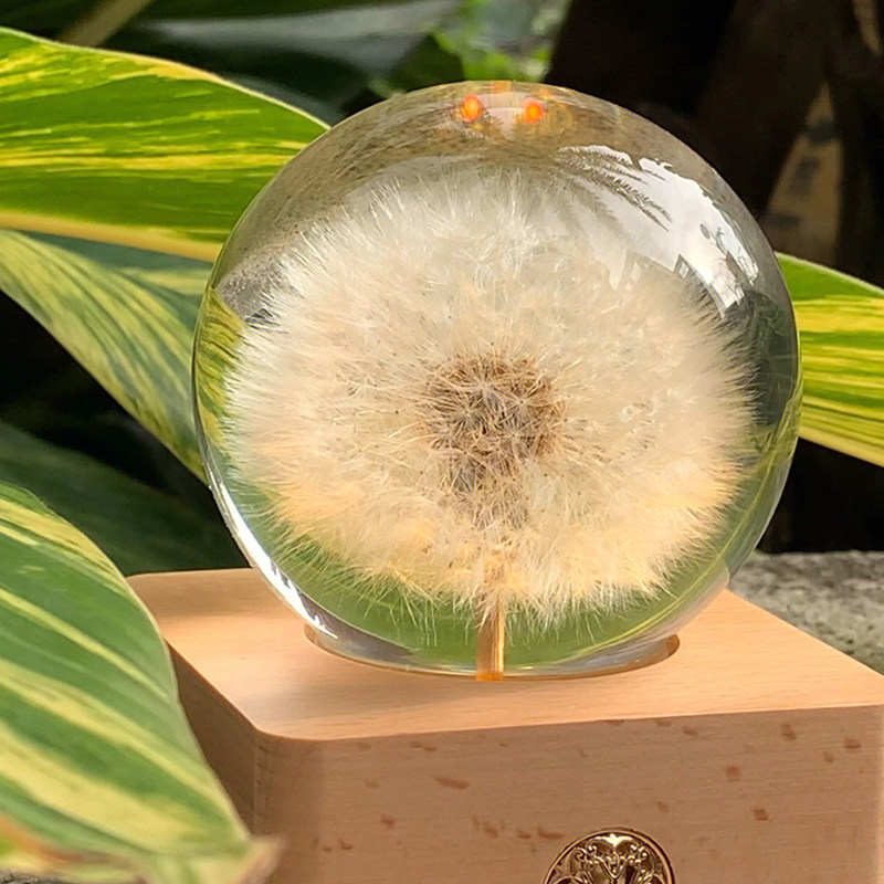 Dandelion crystal ball atmosphere night light bluetooth audio Valentine's day to send boyfriend and girlfriend commemorative music box gift