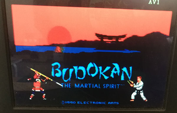 Sports] new Sega 16-bit TV black card Budokan-The Martial Spirit Budokan