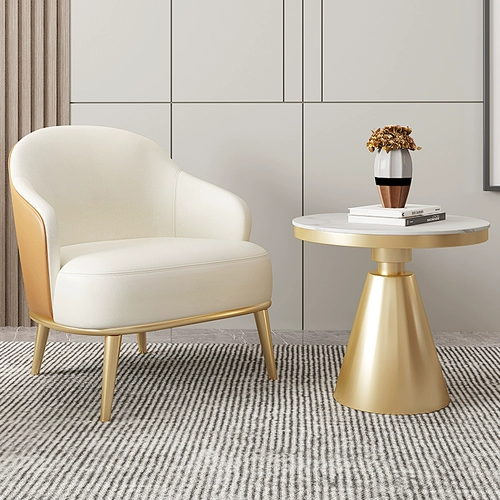 Light Luxury Designer Single Dofa Cleag Net Red Homestay Hotel Hotel Выставка выставочная выставочная выставка