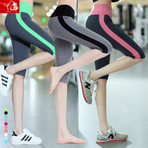 Summer new fitness sports pants stretch tight yoga pants 7-point pants running clothes shorts thin dance pants