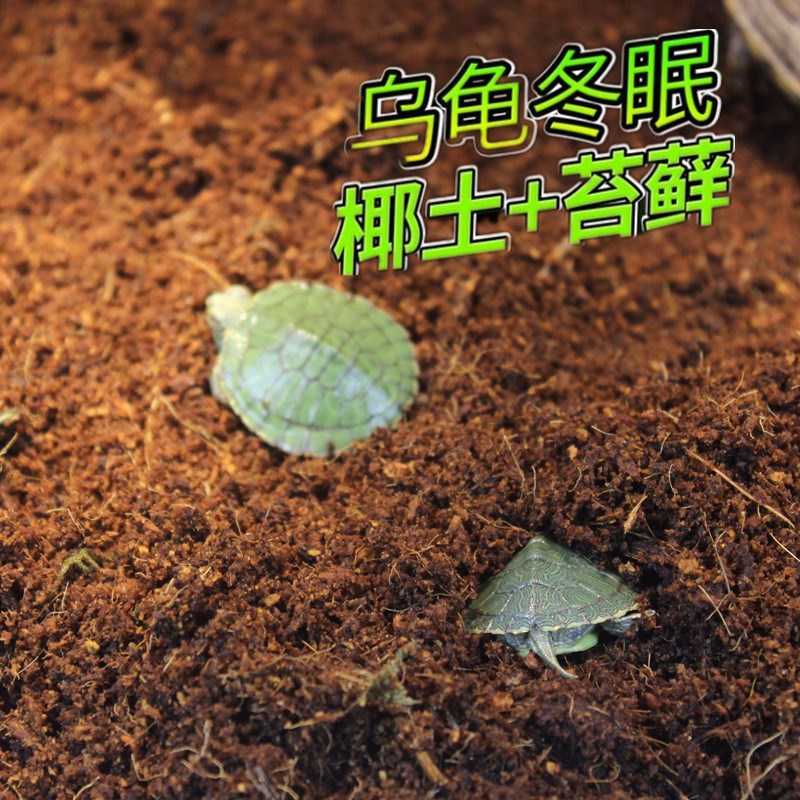 Coconut soil brick grass turtle coconut soil small turtle hibernating sand moisturizing moss soil special supplies thermal insulation sterile soil