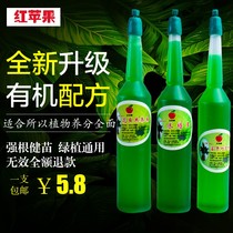 Fugui bamboo nutrient solution special fertilizer Water cultivation green radish chlorophyll Indoor hydroponic plants Universal green radish chlorophyll